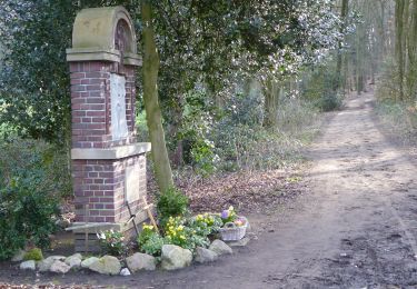 Tocht Te voet Reken - Waldkapelle Rundweg A3 - Photo