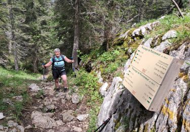 Trail Walking Fillière - PAS DU ROC PUIS PASSAGE DE RONCEVAUX... VIA LE SENTIER DES ESPAGNOLS - Photo