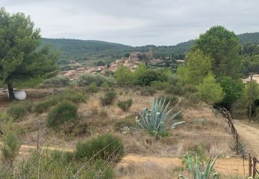 Randonnée Marche Capestang - 2023 09 12 CHEMIN du PIÉMONT PYRÉNÉEN - 5ème étape 1ère partie : CAPESTANG - QUARANTE - CRUZY - BIZE-Minervois - POUZOLS-Minervois. - Photo