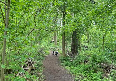 Trail Walking Étaples - Étaples - La forestière  - Photo
