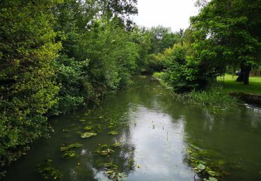 Tour Wandern Combiers - La randonnée de Marchapack - Photo