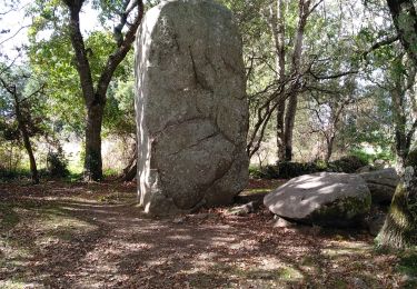 Excursión Senderismo Erdeven - Erdeven les mentalités 04/10/19 - Photo