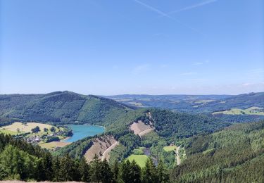 Randonnée Marche Stavelot - Promenade du point de vue de Ster  - Photo