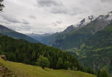 Trail Walking Sainte-Foy-Tarentaise - Le refuge du Monal depuis la Bataillette  - Photo