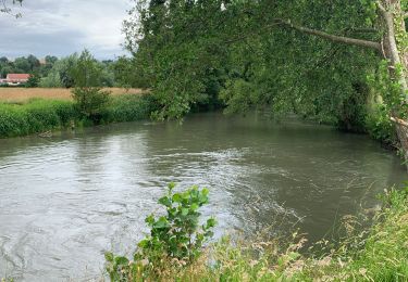 Randonnée V.T.T. Maresquel-Ecquemicourt - Balade marais de Beaurainchâteau - Photo