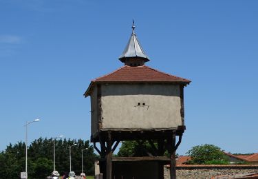 Tour Wandern Saint-Laure - saint laure - Photo