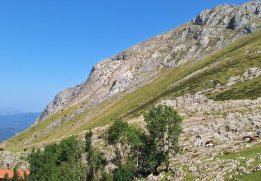 Trail Walking Abaltzisketa - larraitz - Photo