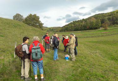 Tour Wandern Masevaux-Niederbruck - 2019.10.17.Masevaux - Photo