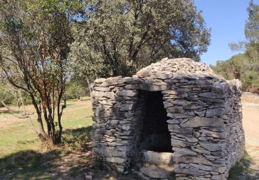 Trail Walking Nimes - Courbessac - Escattes Fort bis - Photo
