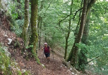 Trail Walking Apremont - Couloir Basset - Photo