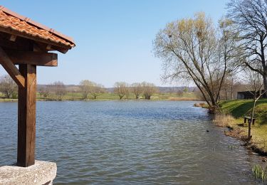 Randonnée Marche Bulgnéville - Bulgnéville : Circuit court des 2 lacs - Photo