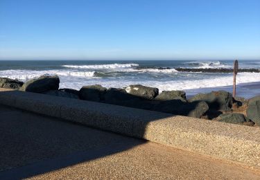 Tocht Stappen Anglet - Promenade Victor Mendiboure Anglet - Photo