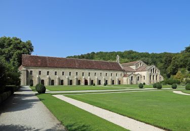 Excursión A pie Marmagne - Circuit de l'Abbaye - Photo