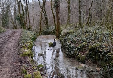 Tour Wandern Vayrac - autour de Floirac  - Photo