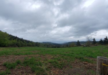 Trail Walking Auroux - parpaillon - Photo
