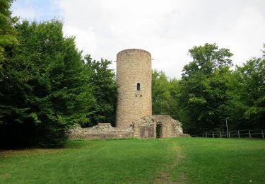 Tour Zu Fuß Bad Soden-Salmünster - Spessartspuren - Bad Sodener Waldgeflüster - Photo