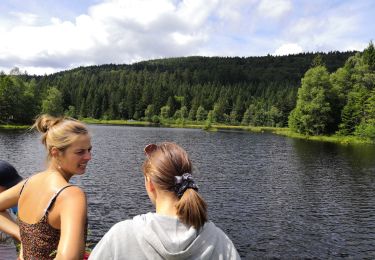 Trail Walking La Bresse - Lac de Lispach - Photo