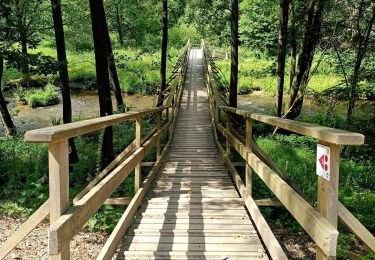 Tour Wandern Amel - La rivière d'or (9km) - Photo