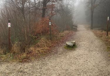 Tour Wandern Weismes - Brasserie Peak 10 Km - Photo