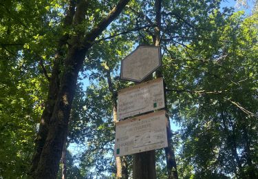 Trail Walking Vresse-sur-Semois - Pont de claies - Photo
