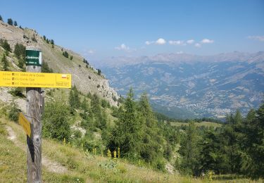 Trail Walking Enchastrayes - col du Chapeau de gendarme et de Gyp Aller via flanc est Retour via flanc nord - Photo