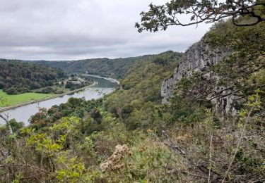 Percorso Mountainbike Hastière - Hastière - Heer Agimont - Photo