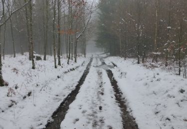 Trail Walking Paliseul - RB-Lu-24_Launoy - Photo