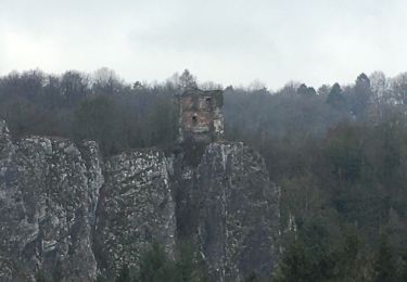 Trail Walking Aywaille - Adeps Aywaille 2020 - Photo