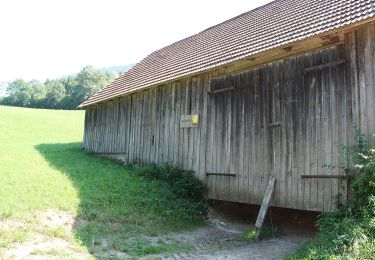 Tocht Te voet Gemeinde Kaumberg - Forellenhof Böck (Höfnergraben) - Brunntal - Harras Furth - Photo