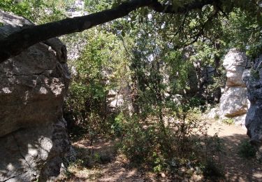 Trail Walking Berrias-et-Casteljau - 2020-09-16 : casteljau- tour de la presqu’île et vues sur le chassezac - Photo