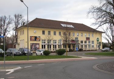 Tocht Te voet Bad Nenndorf - Calenberger Weg - Photo