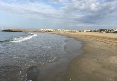 Tocht Stappen Agde - Roche longue - Photo