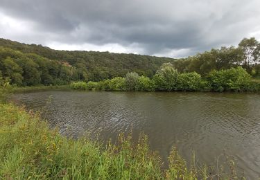 Excursión Senderismo Fontaine-l'Évêque - rando.. promenade du charbonnier  - Photo