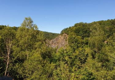 Tocht Stappen Yvoir - Balade dans la vallée du Bocq - Purnode - Photo