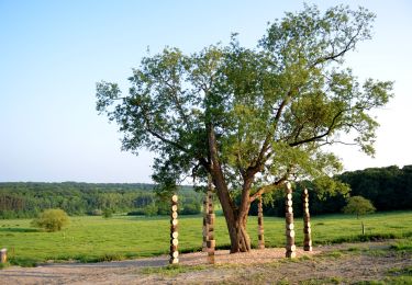 Trail Walking Somme-Leuze - Sentiers d'Art : Boucle16 - Somal - Photo