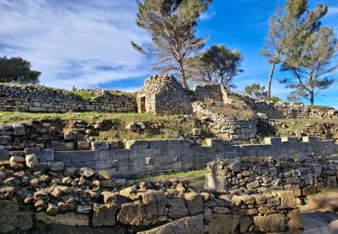 Trail Walking Saint-Mitre-les-Remparts - Boucle de Sainte Blaise - Photo