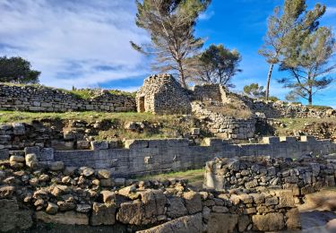 Tour Wandern Saint-Mitre-les-Remparts - Boucle de Sainte Blaise - Photo