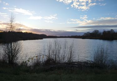 Excursión Senderismo Amboise - Amboise - variante PR Hors des sentiers battus - 13.2km 125m 2h45 - 2023 12 20 - Photo