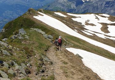 Tocht Stappen Les Houches - Aiguillette des Houches - Photo