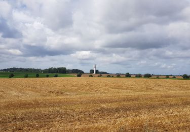 Trail Walking Liège - Rocourt - Othée - Rocourt  - Photo