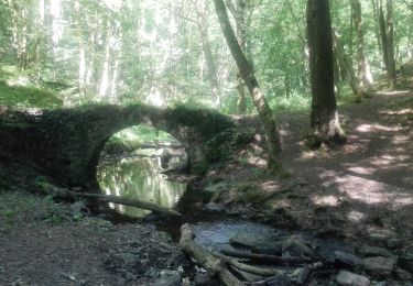 Tour Wandern Huy - 20190628 - Photo