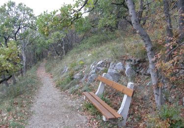 Trail On foot Pécs - Rotary kőrsétány - Photo