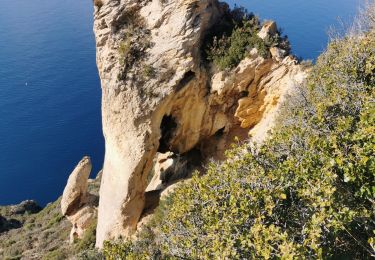 Excursión Senderismo La Ciotat - cap canaille - Photo