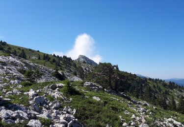 Trail Walking Lans-en-Vercors - Pic St Michel et Col de l'Arc - Photo