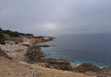 Trail Walking Sausset-les-Pins - Promenade de la corniche - Photo
