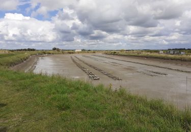 Excursión Senderismo Mornac-sur-Seudre - MORNAC / SEUDRE avec jeannot et babeth - Photo