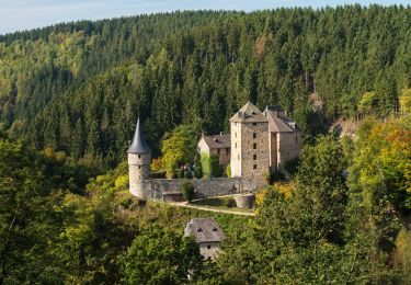 Trail Walking Malmedy - Balcon de la Warche - Photo