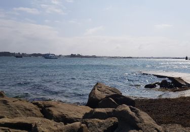 Randonnée Marche Île-de-Batz - Tour de l île de Batz - Photo