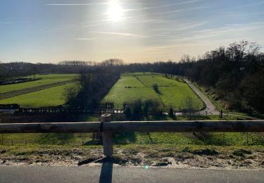 Tocht Noords wandelen Stein - Brouwerij De Fontein Stein/Meers  - Photo