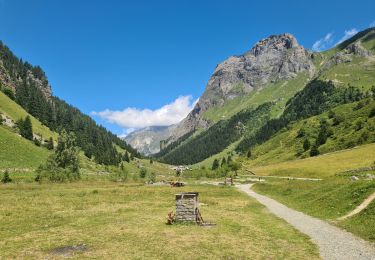 Trail Walking Pralognan-la-Vanoise - Pralognan 2025-07-17 Les Prioux A/R - Photo